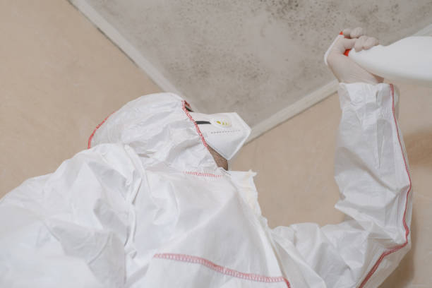 Best Toxic Mold Removal  in Claysburg, PA